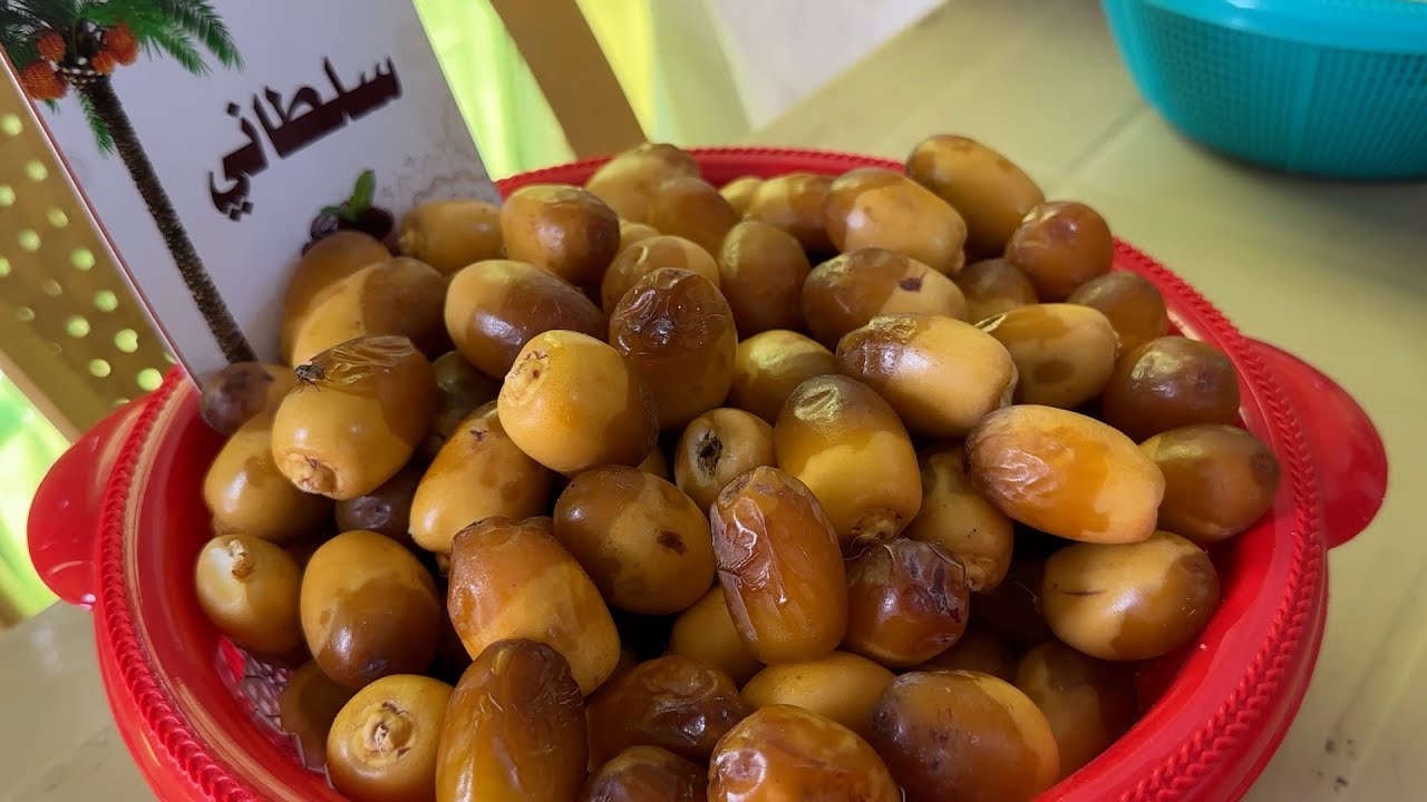 انطلاق المعرض السنوي الاول للتمور في ميسان