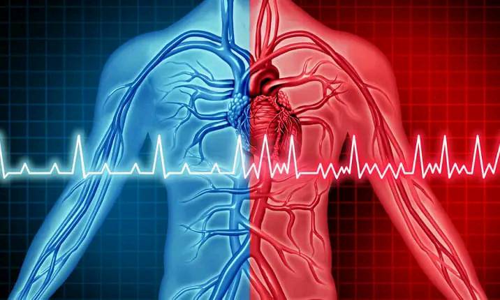 تعرف على الفارق بين النوبة القلبية وتوقف القلب المفاجئ