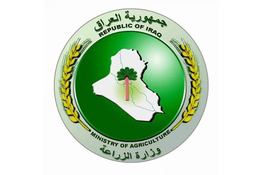 وزارة المالية للقضاء: استرداد أموال الفاسدين يجب أن يضمن كامل حقوق الخزينة